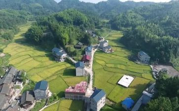 上半年村工作总结最新5篇