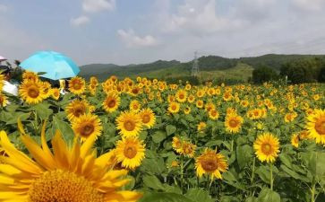 美术培训总结推荐5篇