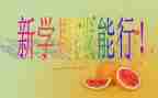 小学期培训心得体会最新5篇
