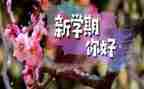 新学期工作计划范文参考5篇